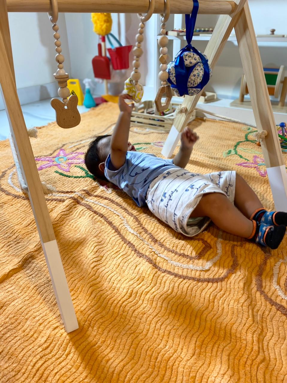 Play Gym